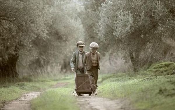 Η Ελιά το μάζεμα και η σημασιά στη ζωή μας! (βίντεο) 