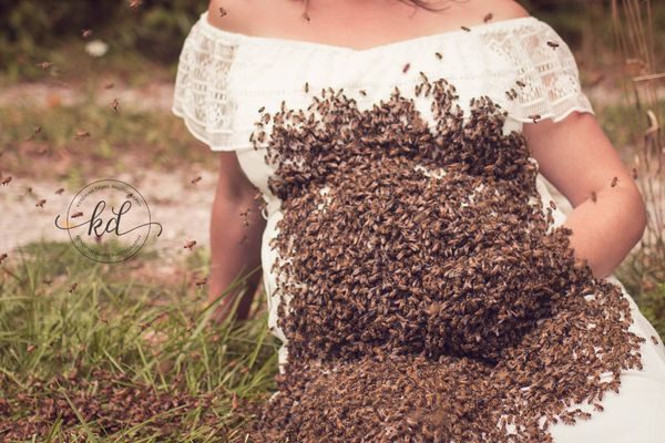 Εγκυος ποζάρει με 20.000 μέλισσες στην κοιλιά της σε μια σοκαριστική φωτογράφιση μέλισσες 