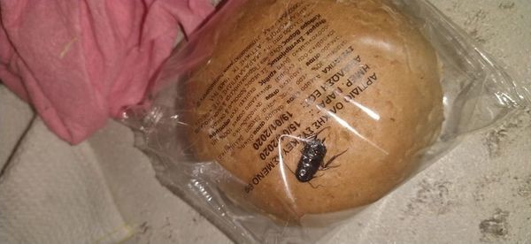 Βρέθηκε κατσαρίδα στο ψωμί που μοιράστηκε στους μαθητές σε Δημοτικό Σχολείο!!! κατσαρίδα απίστευτο γεγονός 